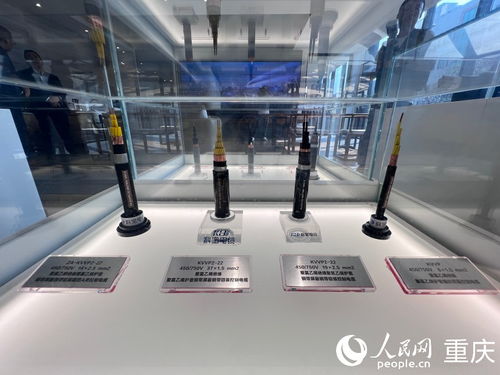 重慶涪陵 小巨人 用革新填補國內產業鏈 空白