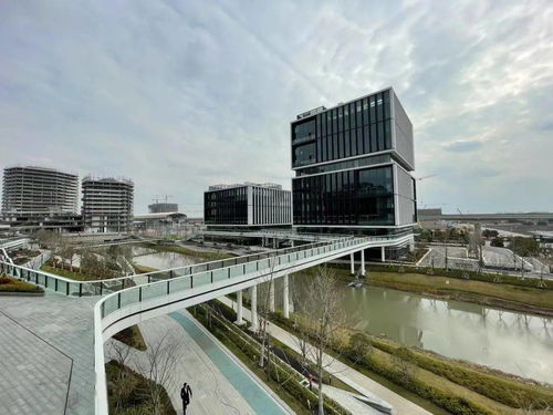 長三角綠洲智谷趙巷 園區 勇立潮頭,向新而行 打造長三角一體化示范區內的特色標桿園區