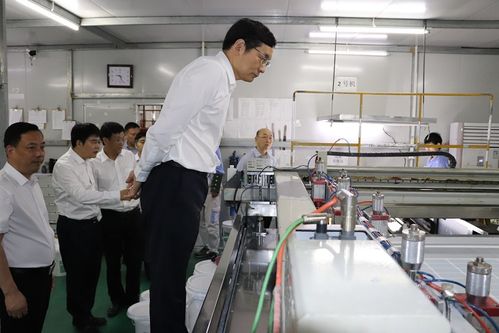 中國建材集團董事長周育先到宜興新能源調(diào)研指導工作