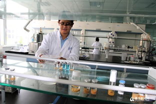 從技術研發到產業化 明月博士團隊的漫漫科研路
