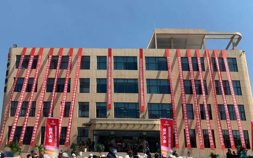 替代進口邁出重要一步,中復神鷹西寧萬噸碳纖維基地正式投產