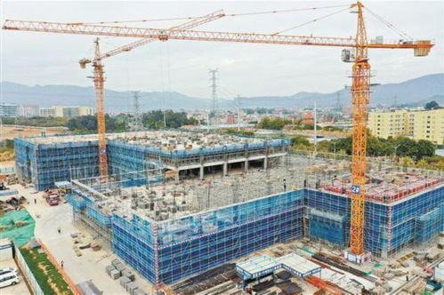 廈門火炬高新區 招服一體 強固產業全矩陣