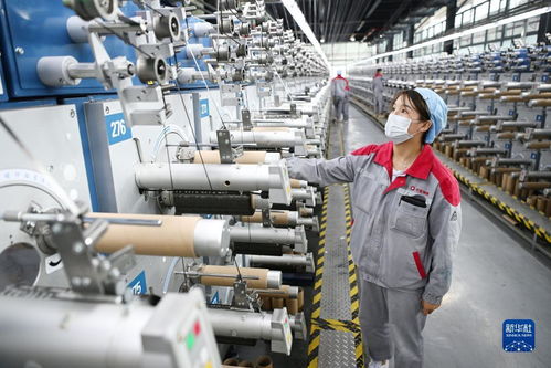 走進我國萬噸碳纖維生產基地